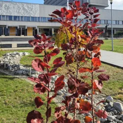 The Slovak National Library - Martin