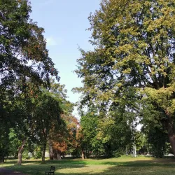City Park (Mestský park) - Michalovce
