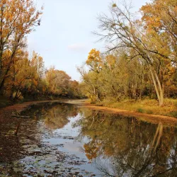 Latorica River - Michalovce