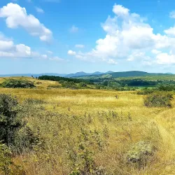 Latorica River - Michalovce