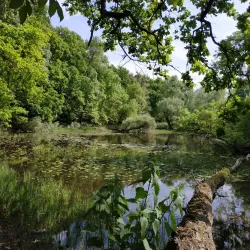 Latorica River - Michalovce