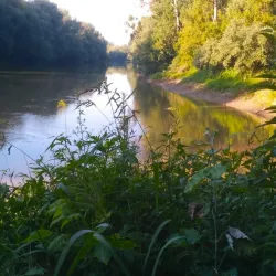 Latorica River - Michalovce