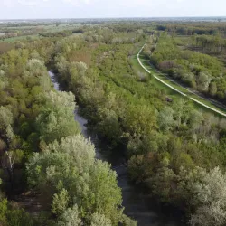 Latorica River - Michalovce
