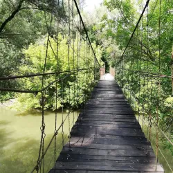 Latorica River - Michalovce