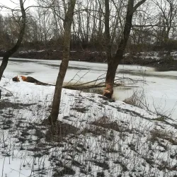 Latorica River - Michalovce
