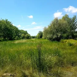 Latorica River - Michalovce