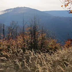 Hiking Trails around Modra - Modra