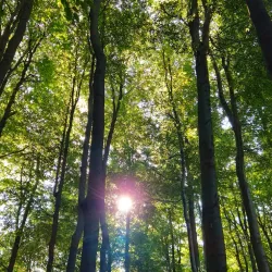 Hiking Trails around Modra - Modra