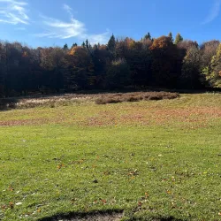 Hiking Trails around Modra - Modra