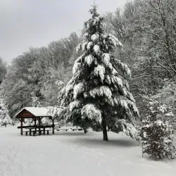 Hiking Trails around Modra - Modra