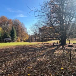 Hiking Trails around Modra - Modra