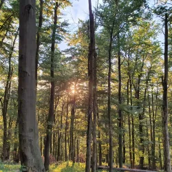 Little Carpathians Protected Landscape Area - Modra