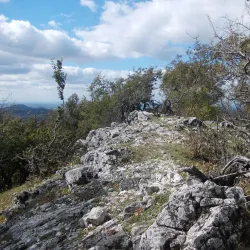 Little Carpathians Protected Landscape Area - Modra