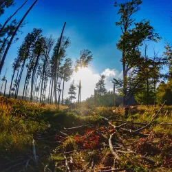 Little Carpathians Protected Landscape Area - Modra