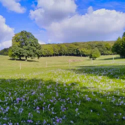 Little Carpathians Protected Landscape Area - Modra