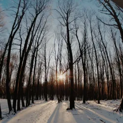 Little Carpathians Protected Landscape Area - Modra