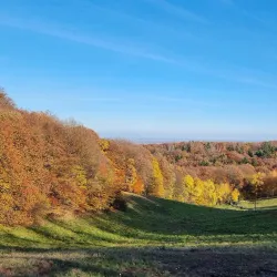 Little Carpathians Protected Landscape Area - Modra