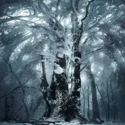 Little Carpathians Protected Landscape Area - Modra