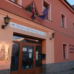 Modra City Museum - Modra