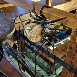 Modra Vineyards - Modra