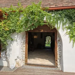 Modra Vineyards - Modra