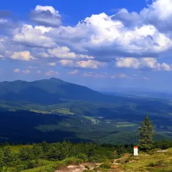 Hiking Trails around Namestovo - Namestovo (Námestovo)