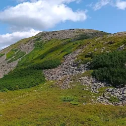 Hiking Trails around Namestovo - Namestovo (Námestovo)