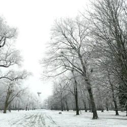 Janko Kráľ Park - Nitra