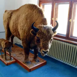 Nitra City Museum - Nitra