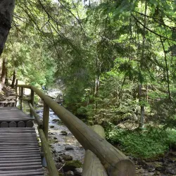 Hiking Trails in the Surrounding Hills - Nove Mesto nad Vahom