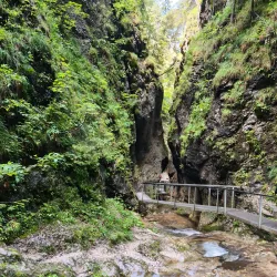 Hiking Trails in the Surrounding Hills - Nove Mesto nad Vahom