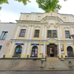 Nove Mesto nad Vahom Museum - Nove Mesto nad Vahom