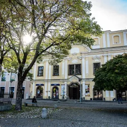 Nove Mesto nad Vahom Museum - Nove Mesto nad Vahom