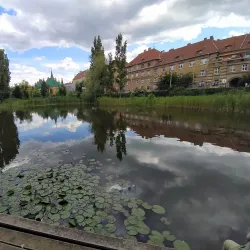 City Park (Mestský park) - Nove Zamky