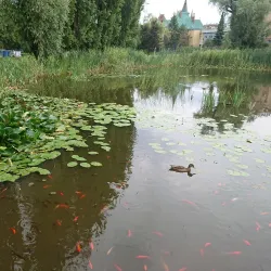City Park (Mestský park) - Nove Zamky