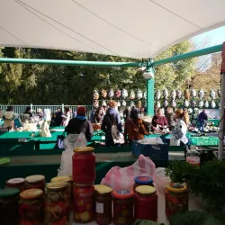 Local Market - Nove Zamky