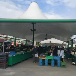 Local Market - Nove Zamky