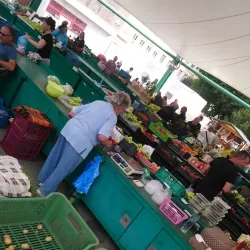 Local Market - Nove Zamky