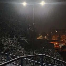 Local Markets and Shops - Partizánske