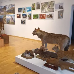 Museum of the High Tatras (Múzeum Vysokých Tatier) - Poprad