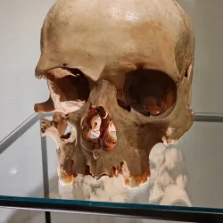 Museum of the High Tatras (Múzeum Vysokých Tatier) - Poprad