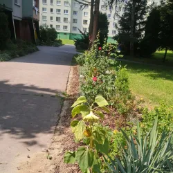 The City Park (Mestský park) - Presov