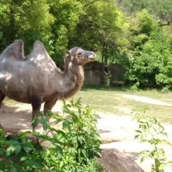 Bojnice Zoo - Prievidza