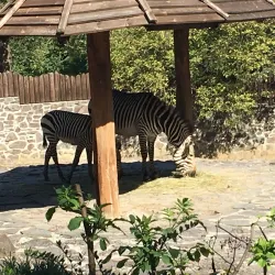Bojnice Zoo - Prievidza
