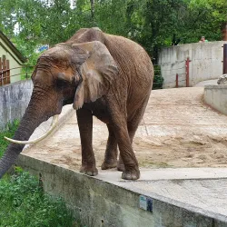 Bojnice Zoo - Prievidza