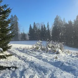 Jasenska Valley - Prievidza
