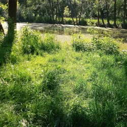 Prievidza City Park - Prievidza