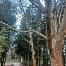 Prievidza City Park - Prievidza