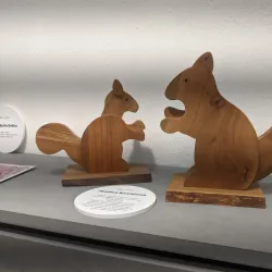 Local Folk Crafts Workshops - Revuca