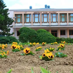 Local Markets and Festivals - Revuca